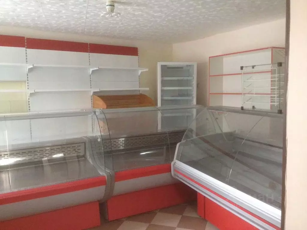 Помещение свободного назначения в Северная Осетия, Владикавказ ул. ... - Фото 2