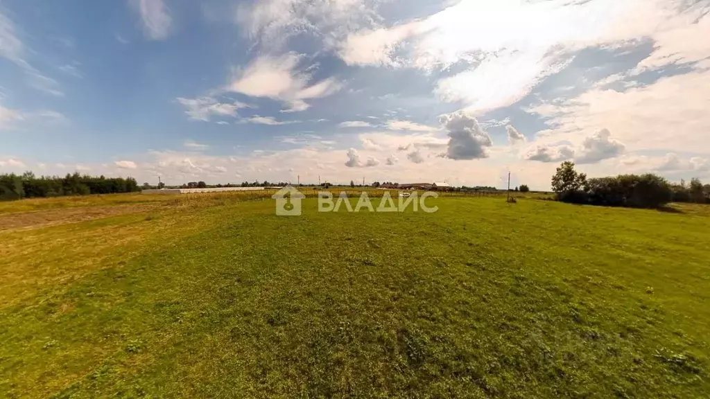 Участок в Владимирская область, Судогодский район, д. Красная Горка ... - Фото 1