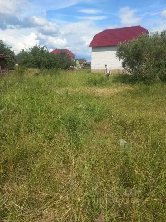 Участок в Новгородская область, Великий Новгород Одуванчик ... - Фото 0