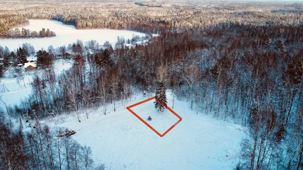 Участок в Ленинградская область, Приозерский район, Мичуринское с/пос  ... - Фото 1