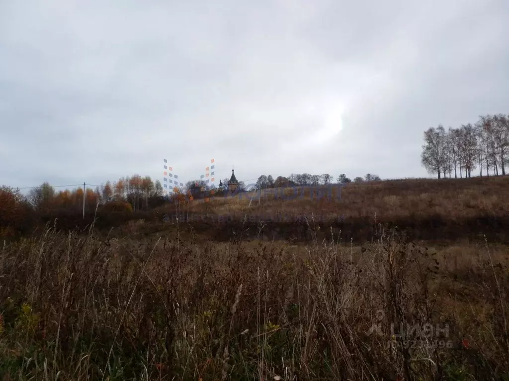 Участок в Нижегородская область, Нижний Новгород городской округ, д. ... - Фото 1