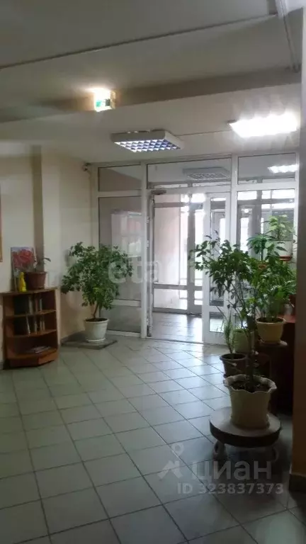 Студия Новосибирская область, Новосибирск Беловежская ул., 4/1 (29.0 ... - Фото 2