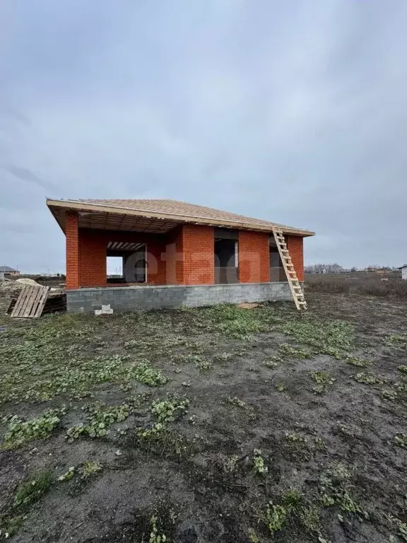 Дом в Белгородская область, Строитель Яковлевский городской округ, ул. ... - Фото 1