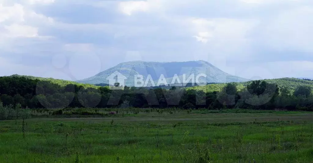 Участок 80 сот. (ИЖС) - Фото 1
