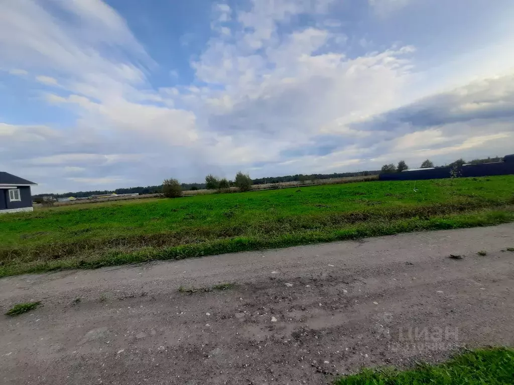 Участок в Ленинградская область, Ломоносовский район, Лопухинское ... - Фото 1