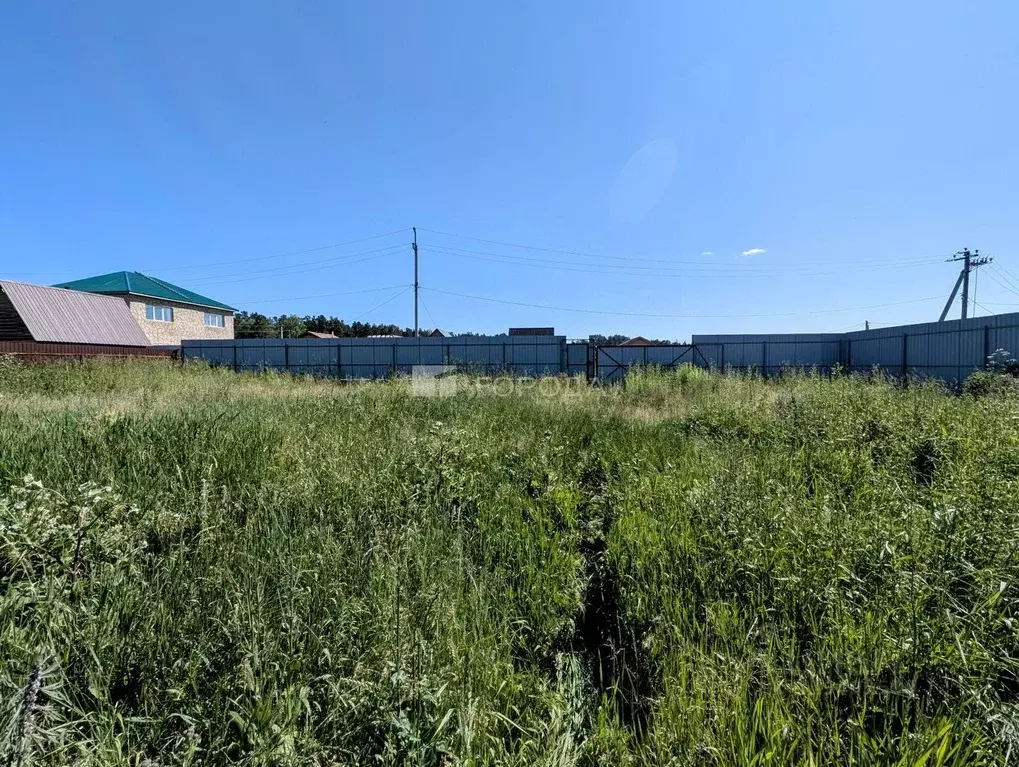 Участок в Новосибирская область, Новосибирский район, Кубовинский ... - Фото 0