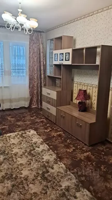 1-к кв. Московская область, Домодедово Центральный мкр, ул. Корнеева, ... - Фото 1