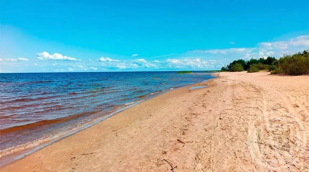 Участок в Ленинградская область, Всеволожский район, Рахьинское ... - Фото 1
