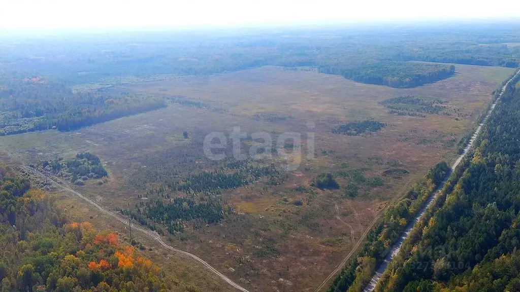 Участок в Тюменская область, Нижнетавдинский муниципальный округ, с. ... - Фото 1
