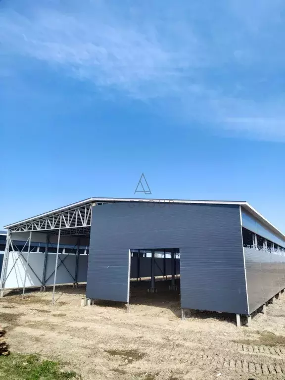 Склад в Ленинградская область, Ломоносовский район, Русско-Высоцкое ... - Фото 2