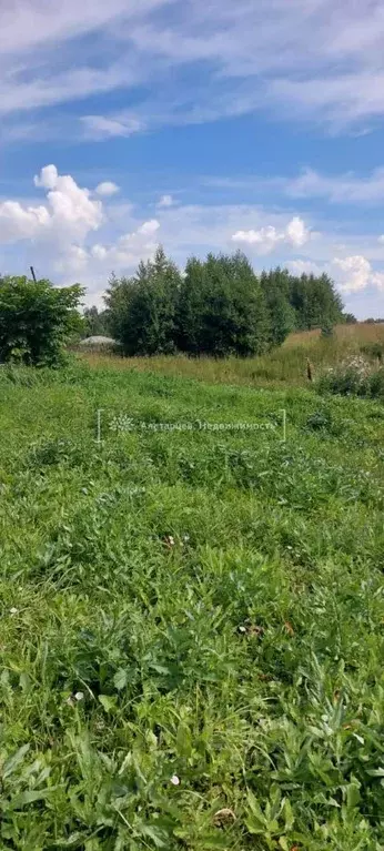 Участок в Томская область, Томский район, д. Новомихайловка пер. ... - Фото 1
