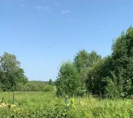 Участок в Московская область, Талдомский городской округ, д. Фоминское ... - Фото 0