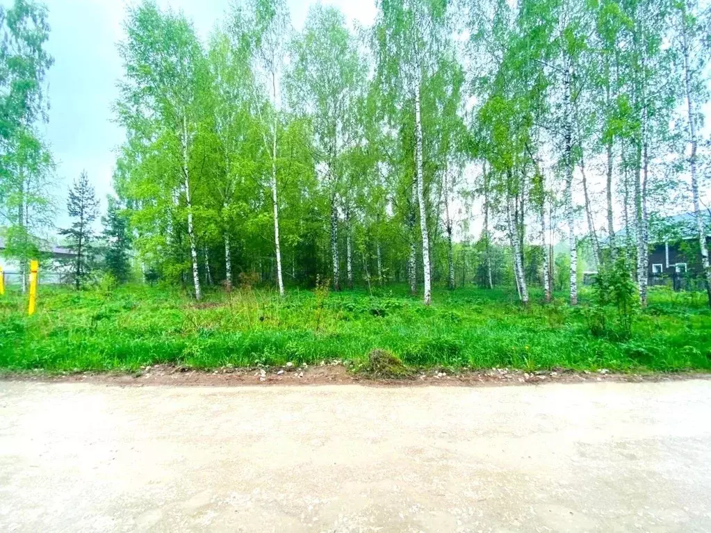 Участок в Владимирская область, Владимир ул. Большая Лукинская, 48 ... - Фото 0