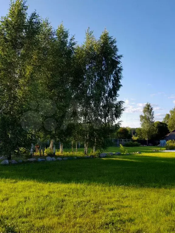 Участок 7,5 сот. (ИЖС) - Фото 1