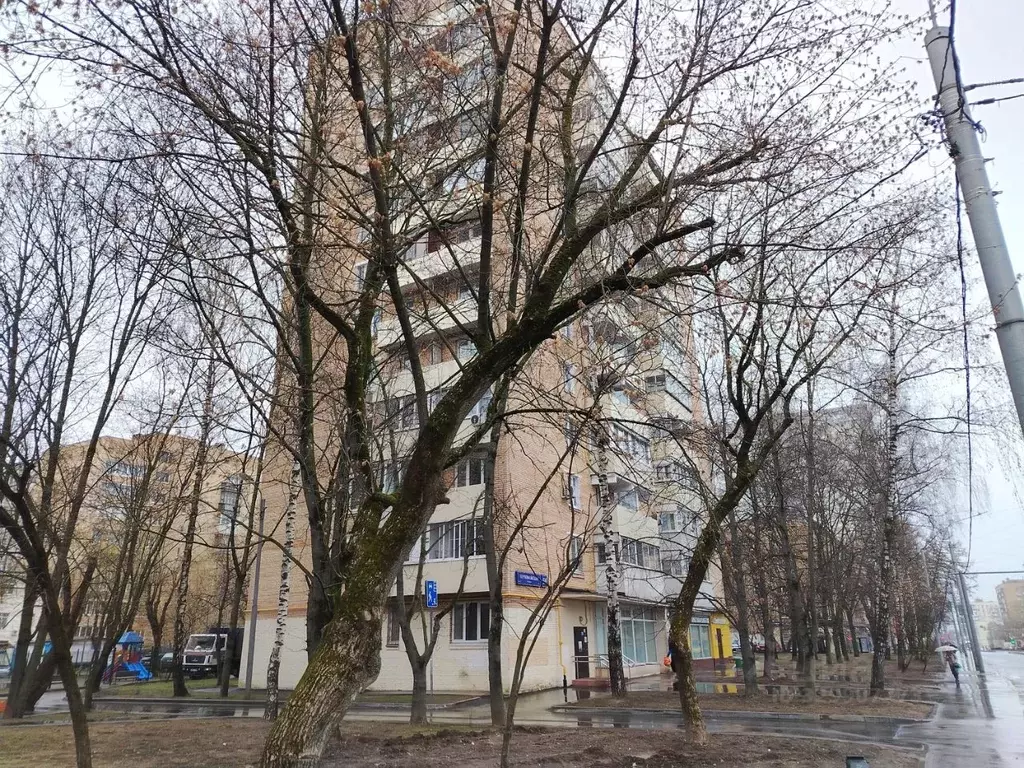 Помещение свободного назначения в Москва Первомайская ул., 56 (53 м) - Фото 2