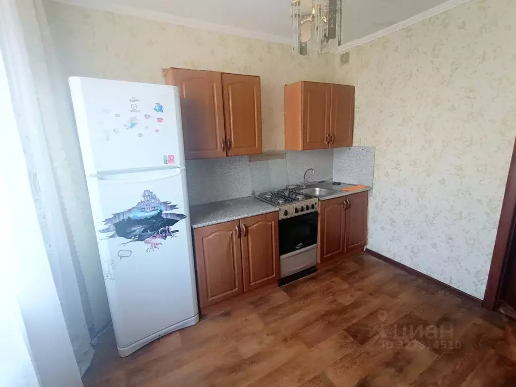 1-к кв. Брянская область, Брянск ул. Воровского, 8 (35.0 м) - Фото 2