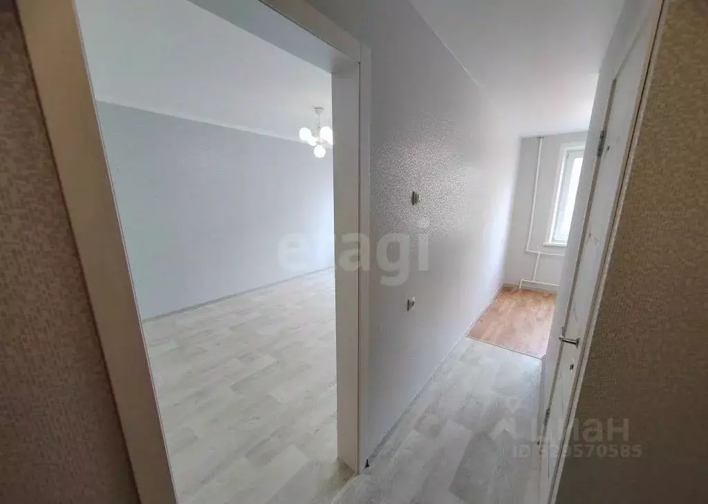 1-к кв. Алтайский край, Барнаул ул. Весенняя, 10к1 (29.9 м) - Фото 2