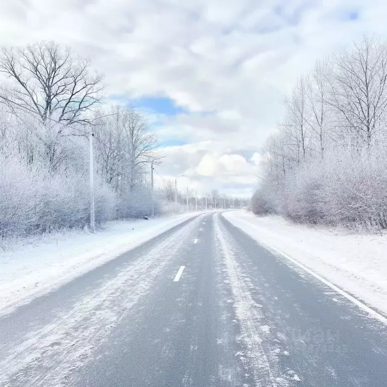 Участок в Псковская область, Островская волость, д. Городище ул. ... - Фото 1