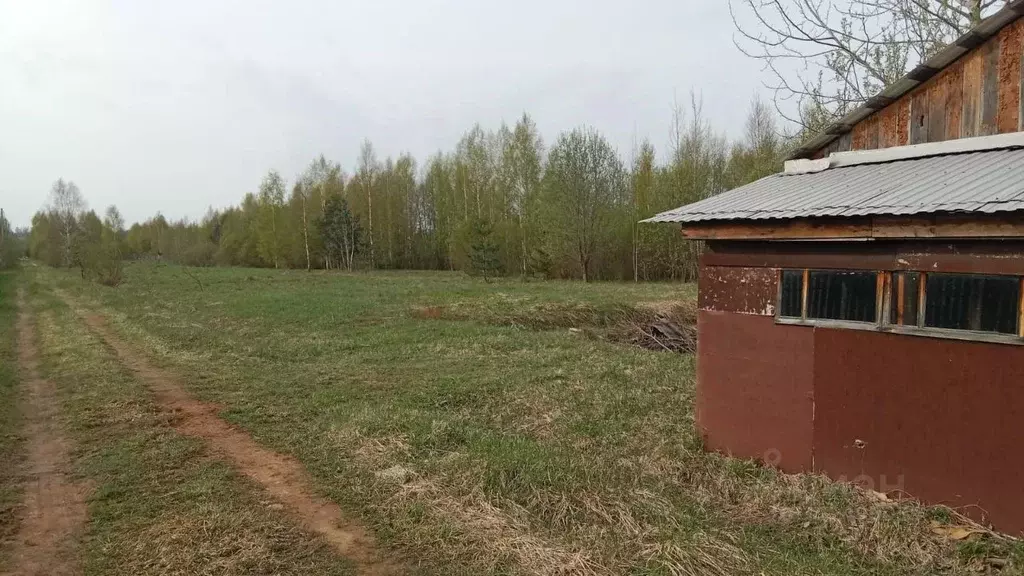 Участок в Московская область, Клин городской округ, Удача садовое ... - Фото 1