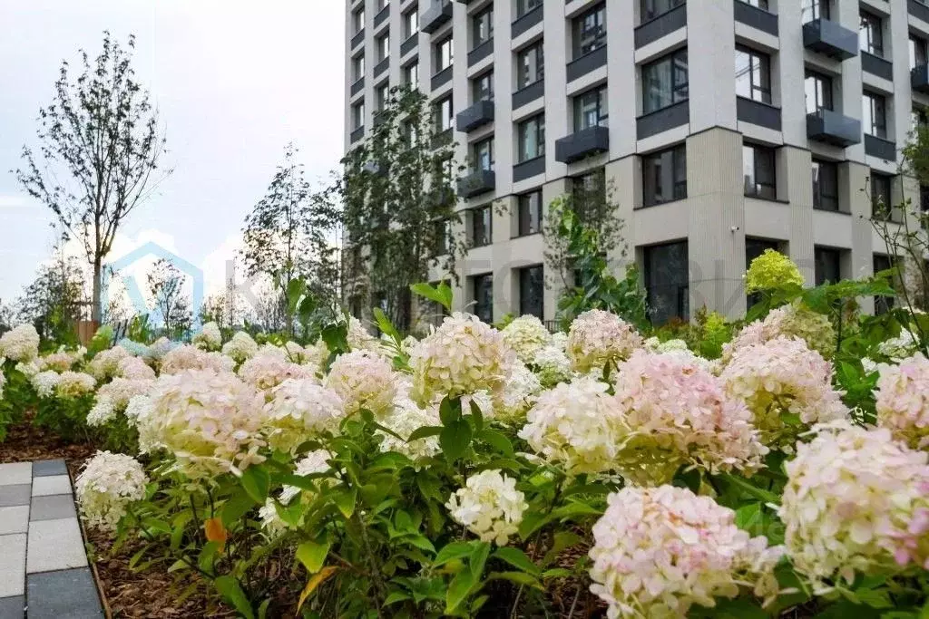 1-к кв. Омская область, Омск ул. Б.Г. Шаронова, 9 (51.6 м) - Фото 2