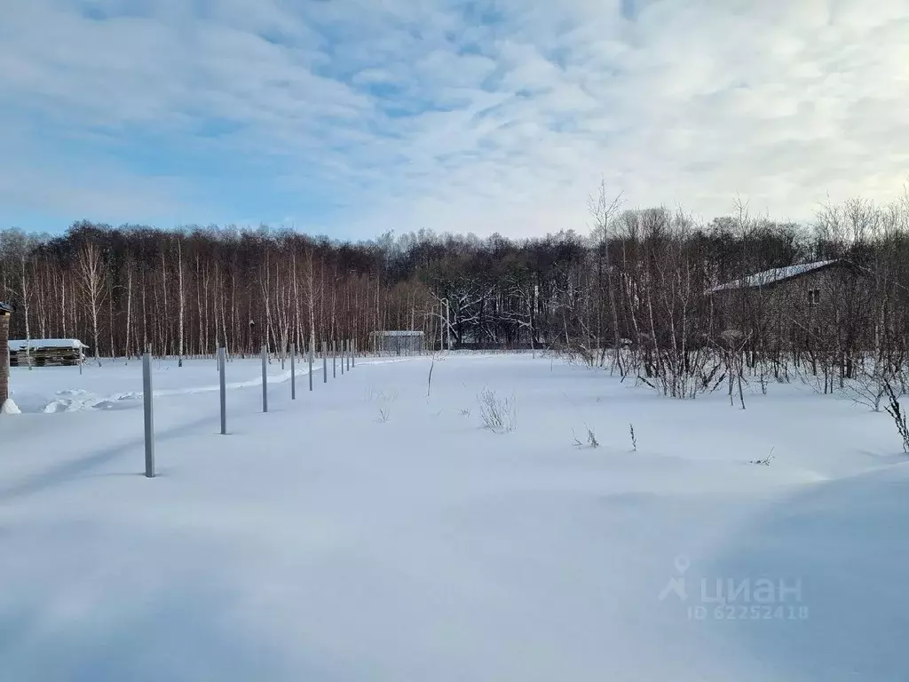 Участок в Московская область, Домодедово городской округ, д. Бехтеево, ... - Фото 0