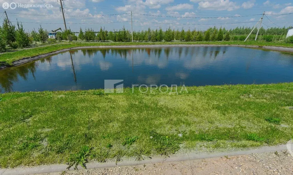 Участок в Новосибирский район, Берёзовский сельсовет, ТСН Тандем, ... - Фото 1