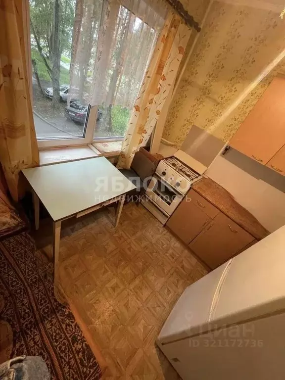 1-к кв. Пермский край, Березники ул. Льва Толстого, 84 (30.0 м) - Фото 0