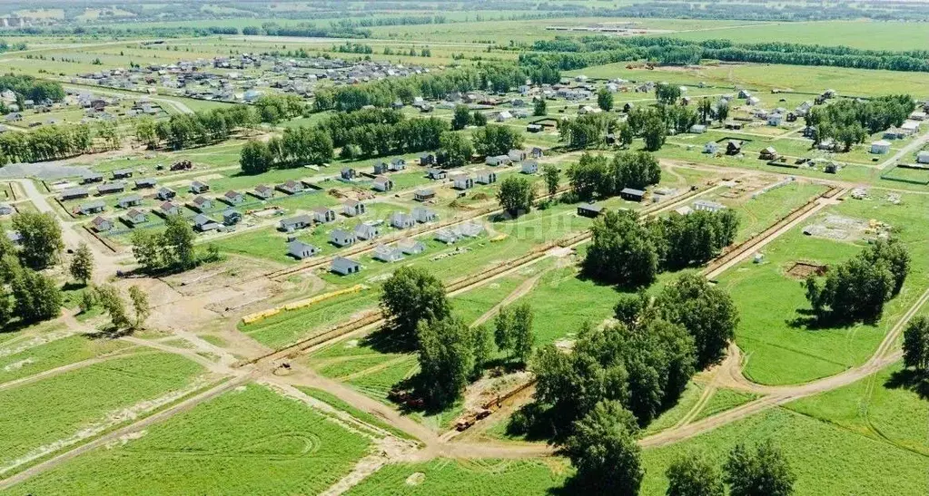 Участок в Новосибирская область, Новосибирский район, Сибирские ... - Фото 1