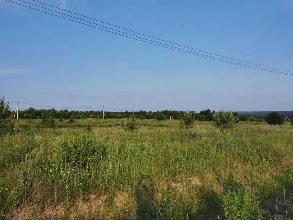 Участок в Калужская область, Тарусский муниципальный округ, Лопатино ... - Фото 1