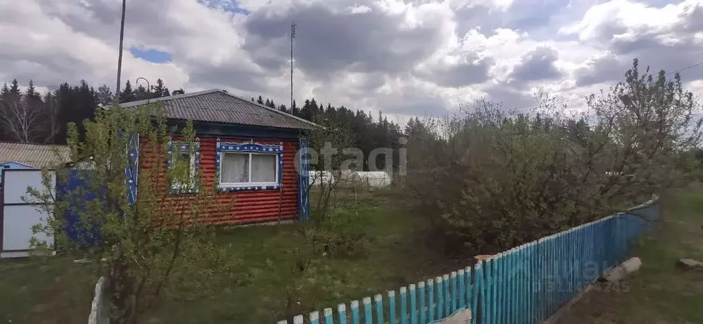 Дом в Тюменская область, Нижнетавдинский район, с. Велижаны ... - Фото 0