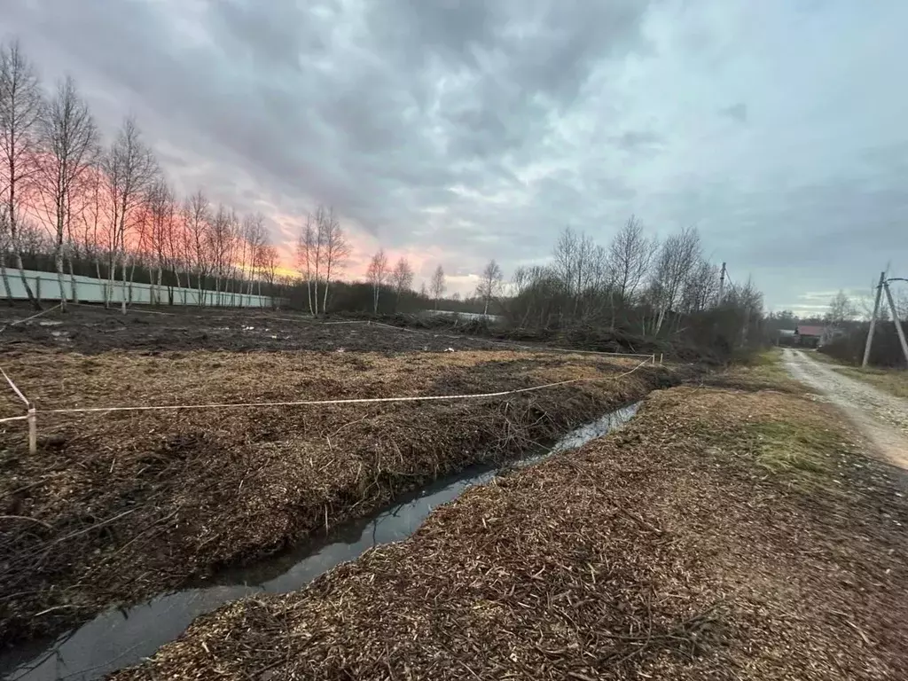Участок в Московская область, Подольск городской округ, Лопатино СНТСН ... - Фото 2