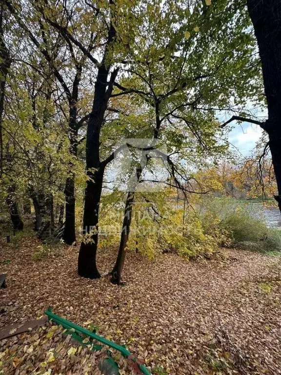 Участок в Оренбургская область, Оренбургский район, Пригородный ... - Фото 0