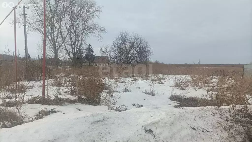 Участок в Ишим, улица Докучаева (10.2 м) - Фото 2
