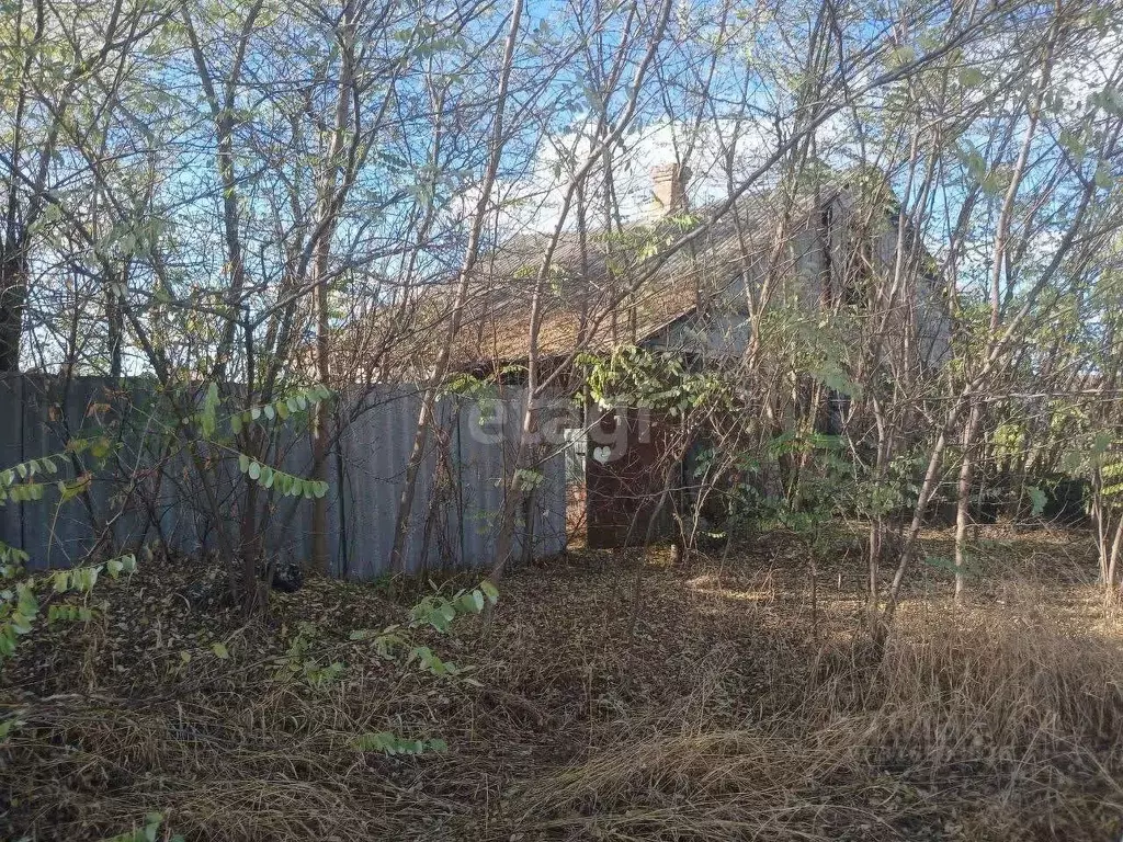 Участок в Белгородская область, Валуйский муниципальный округ, с. ... - Фото 0