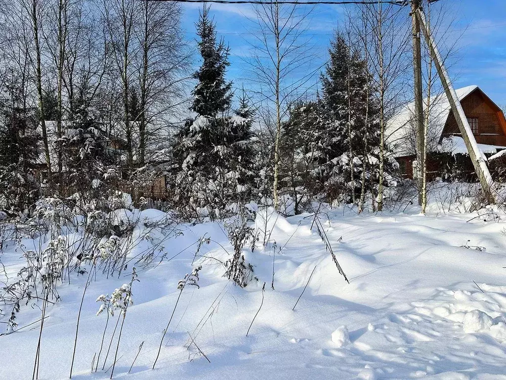 Участок, 9.2 сот., поселения (ижс) - Фото 1