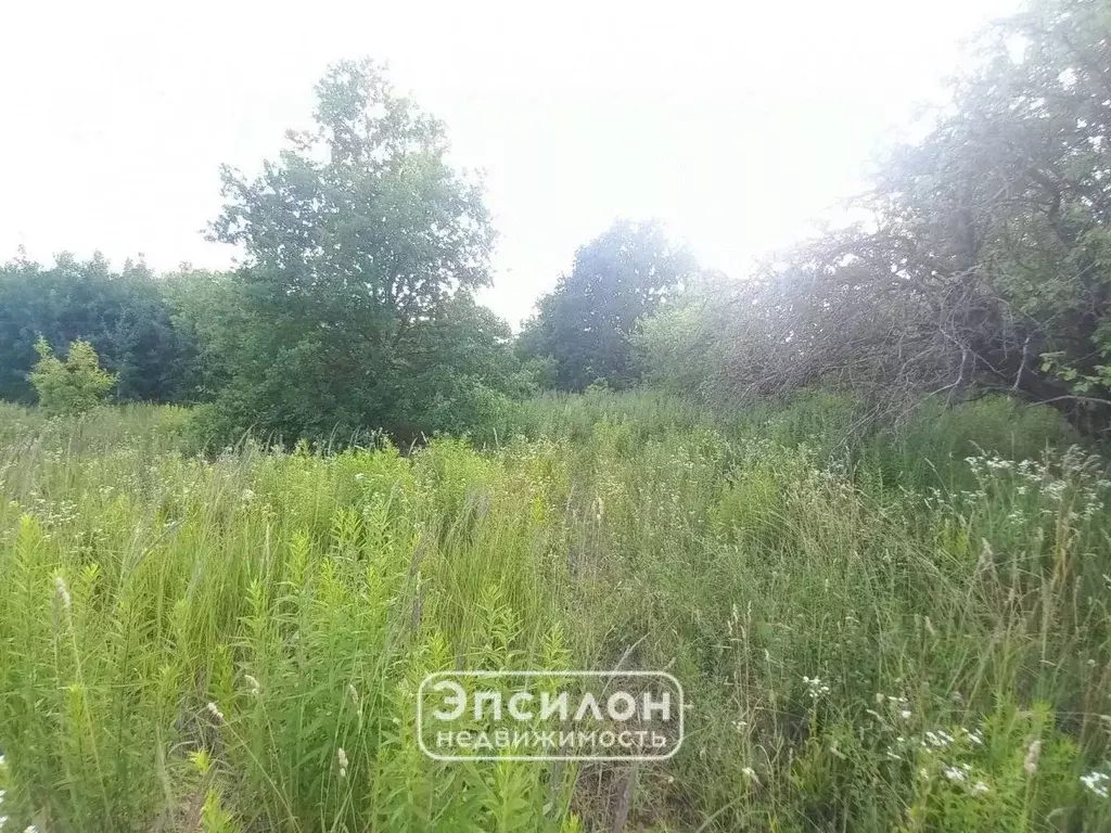 Участок в Курская область, Курск ул. Грибная (10.0 сот.) - Фото 2