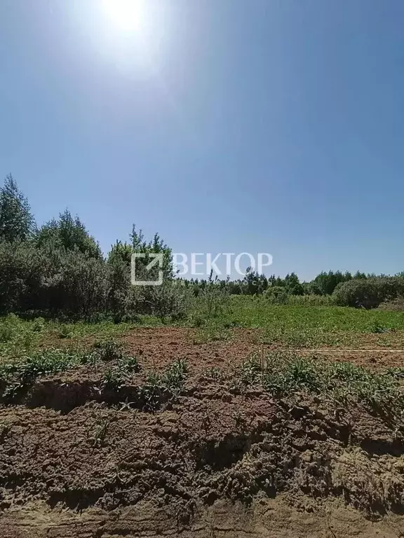 Участок в Костромская область, Кострома Веснянка садоводческое ... - Фото 1