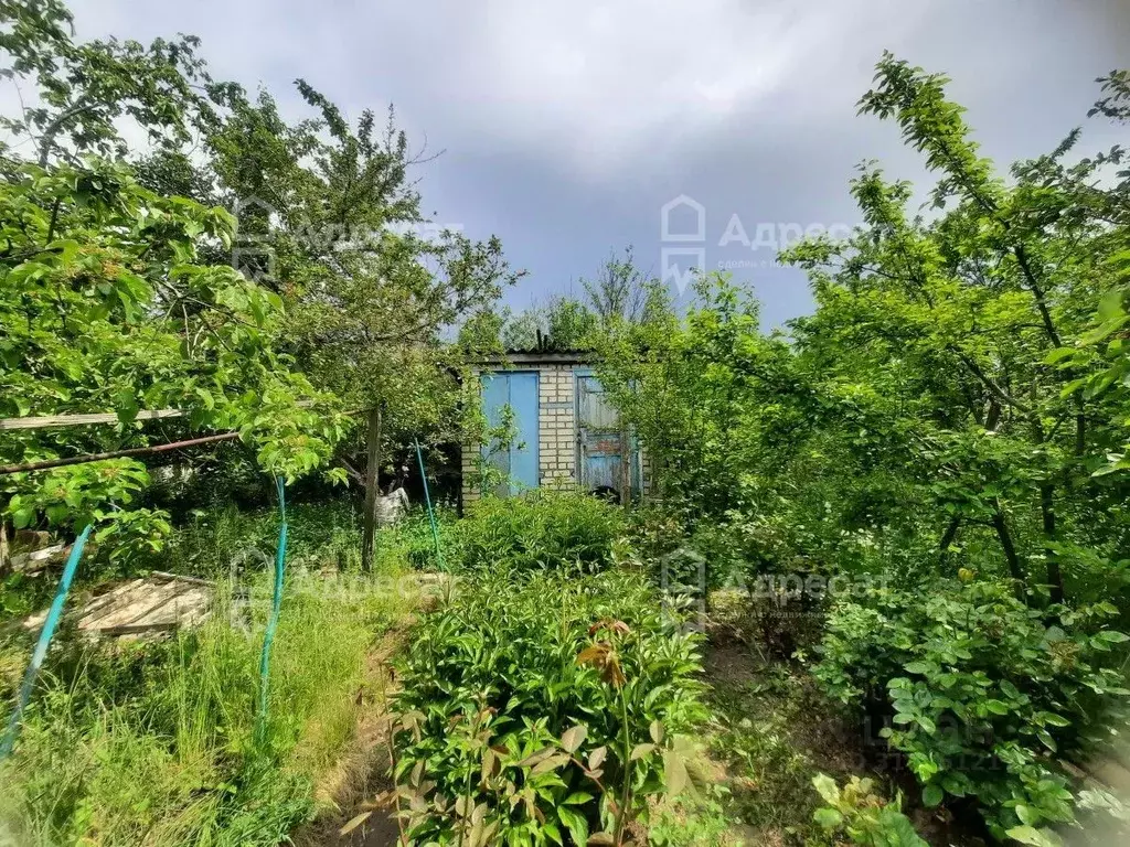 Дом в Волгоградская область, Волгоград Восход СНТ,  (80 м) - Фото 0