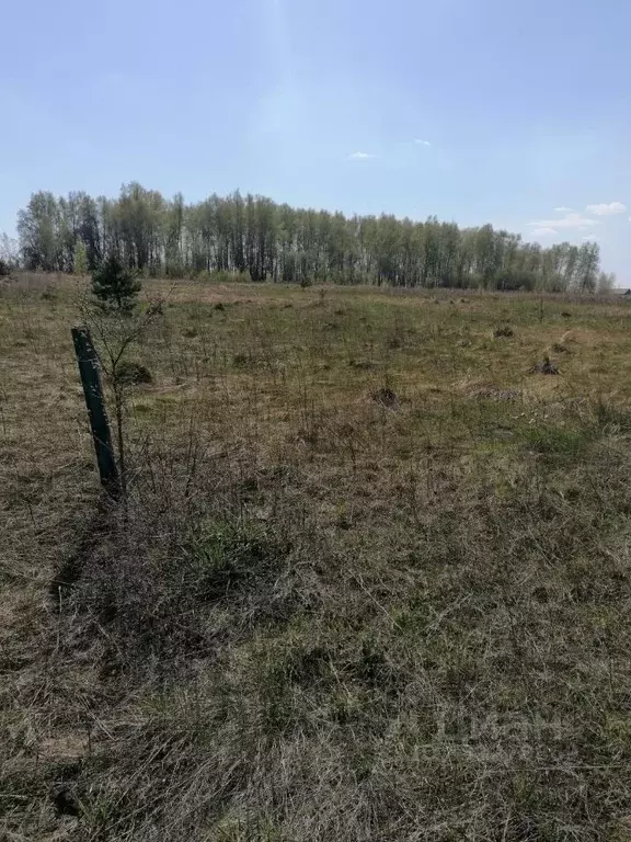Участок в Орловская область, Орловский муниципальный округ, д. ... - Фото 2