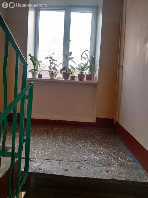 2-комнатная квартира: посёлок Суходолье, Лесная улица, 14 (42 м) - Фото 0