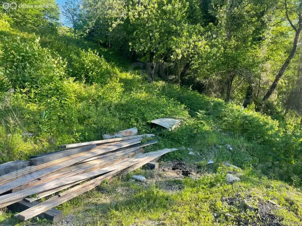 Участок в Краснодарский край, городской округ Сочи, село Васильевка, ... - Фото 1