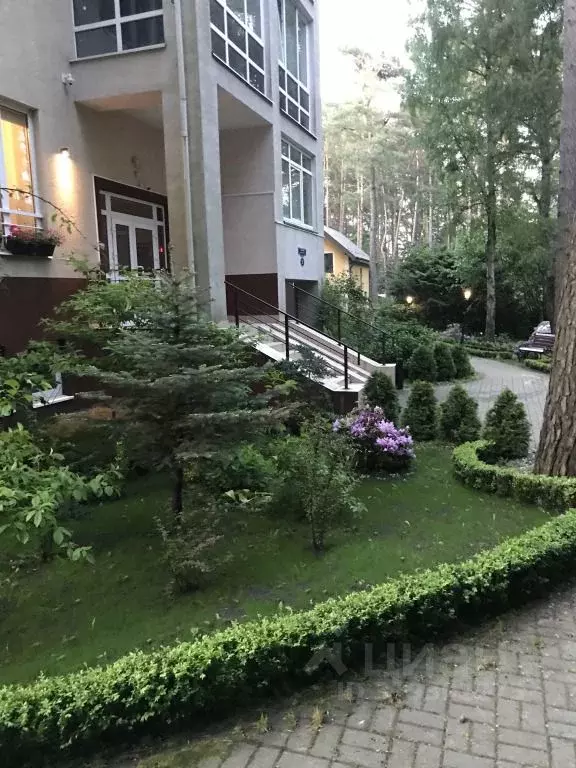 2-к кв. Калининградская область, Светлогорск Садовая ул., 12 (65.0 м) - Фото 2