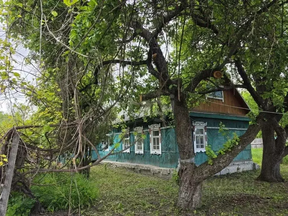 Дом в Брянская область, Брянский район, Новодарковичское с/пос, д. ... - Фото 1