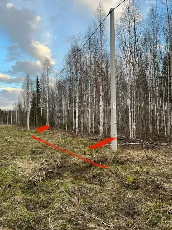 Участок в Коми, Сыктывкар Емваль мкр,  (14.0 сот.) - Фото 1