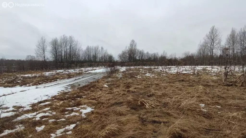 Участок в Старопольское сельское поселение, деревня Русско (15.29 м) - Фото 0