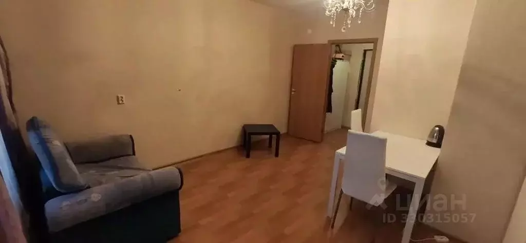 Студия Санкт-Петербург просп. Юнтоловский, 43к1 (24.0 м) - Фото 2