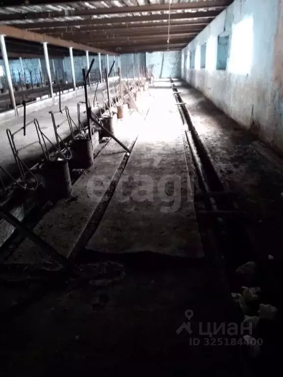 Участок в Алтай, Усть-Канский район, с. Владимировка Центральная ул. ... - Фото 1