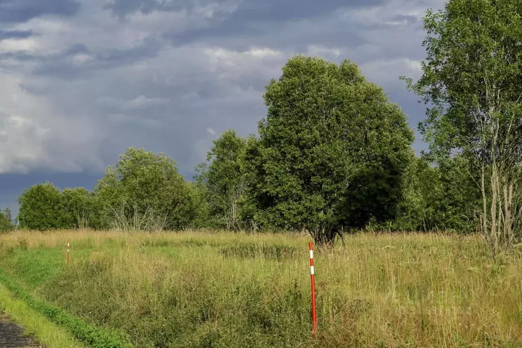 Участок в Ленинградская область, Всеволожский район, Куйвозовское ... - Фото 2