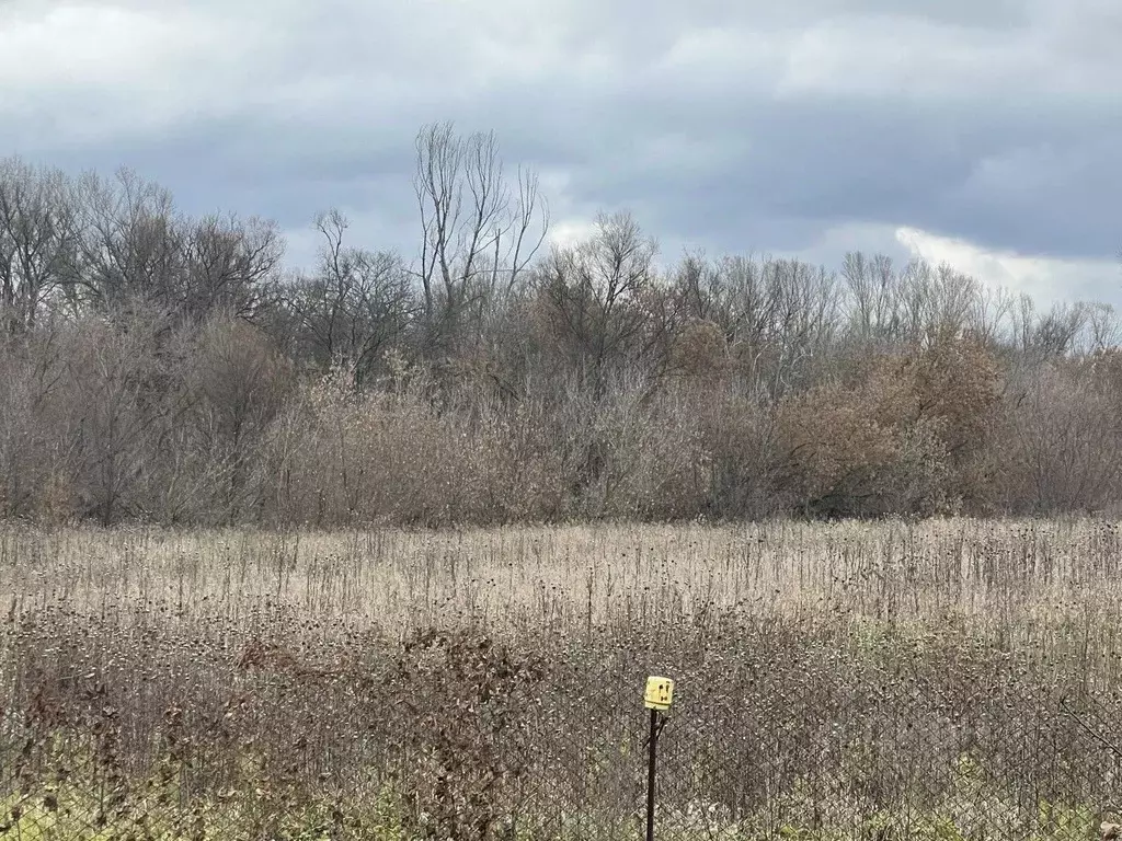 Участок в Башкортостан, Чишминский район, Ибрагимовский сельсовет, д. ... - Фото 2
