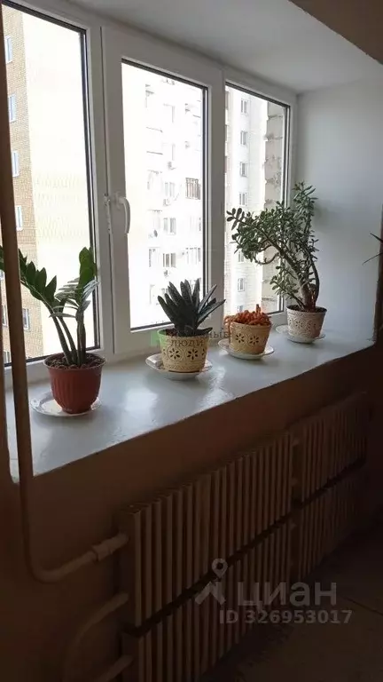 2-к кв. Тамбовская область, Тамбов Интернациональная ул., 34 (54.0 м) - Фото 1